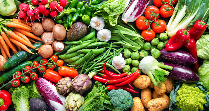 Fresh Vegetables: The Heart of a Healthy Lifestyle